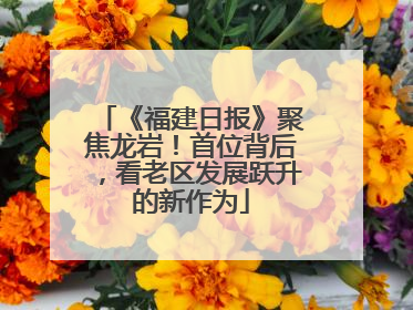 《福建日报》聚焦龙岩！首位背后，看老区发展跃升的新作为