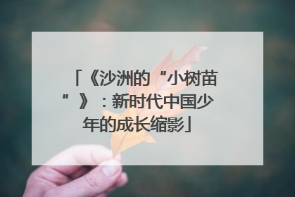 《沙洲的“小树苗”》：新时代中国少年的成长缩影