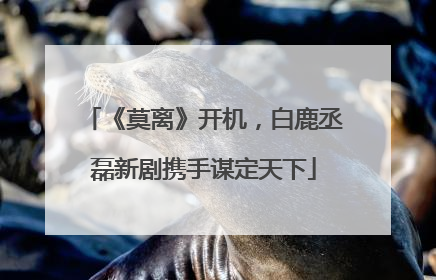 《莫离》开机，白鹿丞磊新剧携手谋定天下