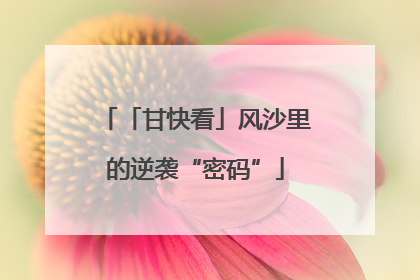 「甘快看」风沙里的逆袭“密码”