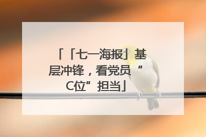 「七一海报」基层冲锋，看党员“C位”担当