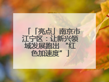 「亮点」南京市江宁区：让新兴领域发展跑出 “红色加速度”