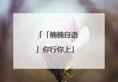 「楠楠自语」你行你上