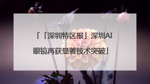 「深圳特区报」深圳AI眼镜再获显著技术突破