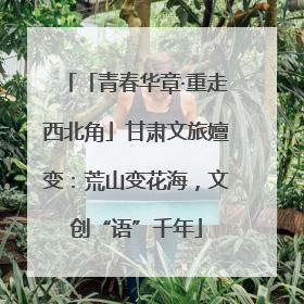 「青春华章·重走西北角」甘肃文旅嬗变：荒山变花海，文创“语”千年