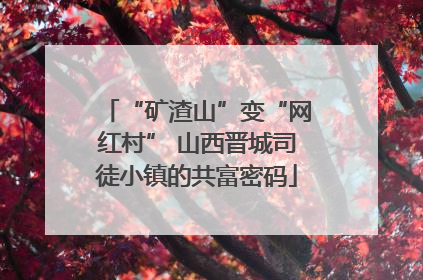 “矿渣山”变“网红村” 山西晋城司徒小镇的共富密码