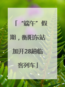 “端午”假期，衡阳东站加开28趟临客列车