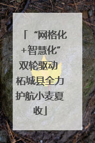“网格化+智慧化”双轮驱动 柘城县全力护航小麦夏收