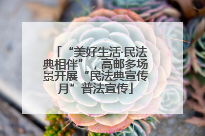 “美好生活·民法典相伴”，高邮多场景开展“民法典宣传月”普法宣传
