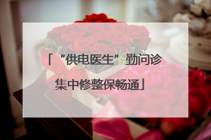 “供电医生”勤问诊 集中修整保畅通