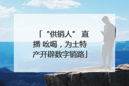 “供销人” 直播 吆喝，为土特产开辟数字销路