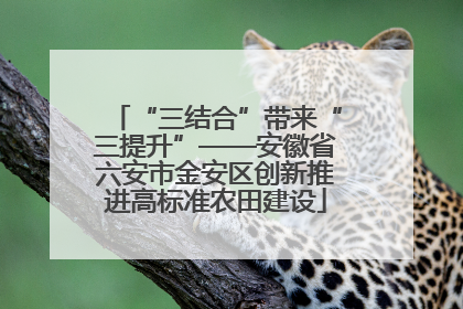 “三结合”带来“三提升”——安徽省六安市金安区创新推进高标准农田建设