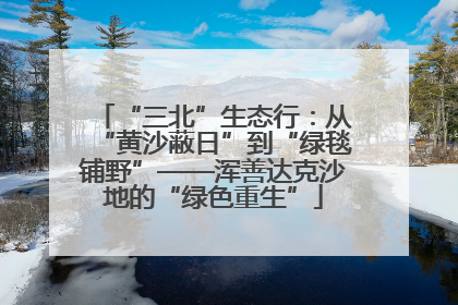 “三北”生态行：从“黄沙蔽日”到“绿毯铺野”——浑善达克沙地的“绿色重生”