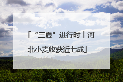 “三夏”进行时丨河北小麦收获近七成