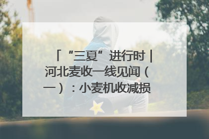“三夏”进行时｜河北麦收一线见闻（一）：小麦机收减损“竞技” 农机高手麦田“过招”