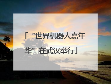 “世界机器人嘉年华”在武汉举行