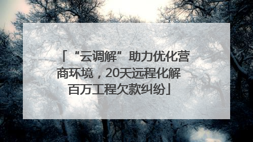 “云调解”助力优化营商环境，20天远程化解百万工程欠款纠纷