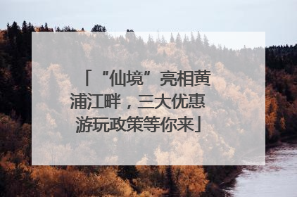 “仙境”亮相黄浦江畔，三大优惠游玩政策等你来