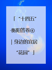 “十四五”·衡阳答卷④｜身边的宜居“花园”