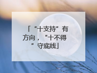 “十支持”有方向，“十不得”守底线