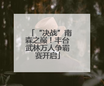 “决战”南森之巅！丰台武林万人争霸赛开启