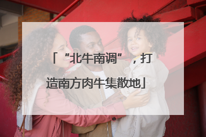 “北牛南调”，打造南方肉牛集散地