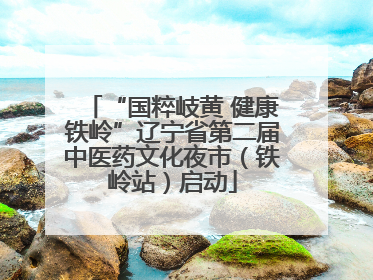 “国粹岐黄 健康铁岭”辽宁省第二届中医药文化夜市（铁岭站）启动