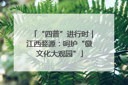 “四普”进行时｜江西婺源：呵护“徽文化大观园”