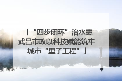 “四步闭环”治水患 武昌市政以科技赋能筑牢城市“里子工程”