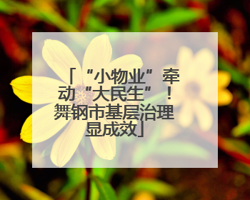 “小物业”牵动“大民生”！舞钢市基层治理显成效