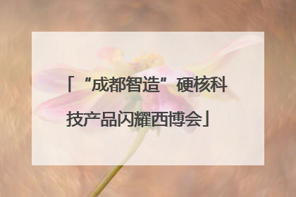 “成都智造”硬核科技产品闪耀西博会