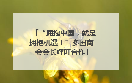 “拥抱中国，就是拥抱机遇！”多国商会会长呼吁合作