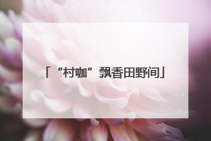 “村咖”飘香田野间