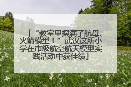 “教室里摆满了航母、火箭模型！”武汉这所小学在市级航空航天模型实践活动中获佳绩