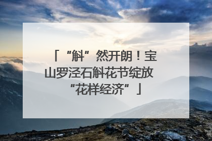 “斛”然开朗！宝山罗泾石斛花节绽放“花样经济”