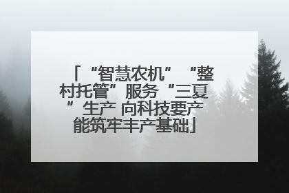 “智慧农机”“整村托管”服务“三夏”生产 向科技要产能筑牢丰产基础