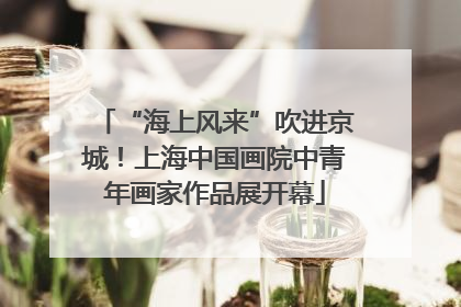 “海上风来”吹进京城！上海中国画院中青年画家作品展开幕