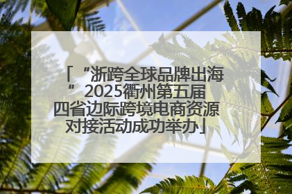 “浙跨全球品牌出海”2025衢州第五届四省边际跨境电商资源对接活动成功举办