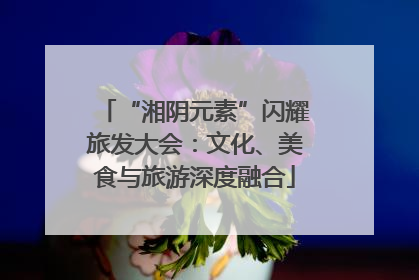 “湘阴元素”闪耀旅发大会：文化、美食与旅游深度融合