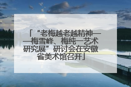 “老梅越老越精神——梅雪峰、梅纯一艺术研究展”研讨会在安徽省美术馆召开