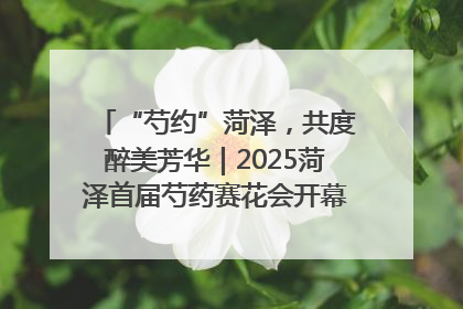 “芍约”菏泽，共度醉美芳华｜2025菏泽首届芍药赛花会开幕，103家企业参赛