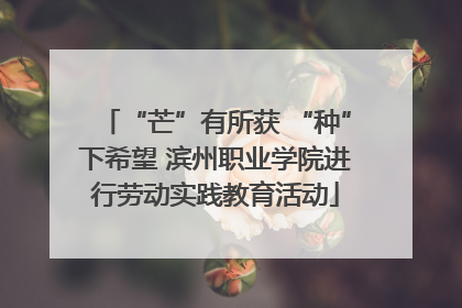 “芒”有所获 “种”下希望 滨州职业学院进行劳动实践教育活动