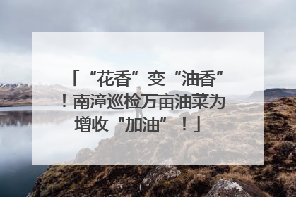 “花香”变“油香”！南漳巡检万亩油菜为增收“加油”！