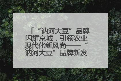 “讷河大豆”品牌闪耀京城，引领农业现代化新风尚——“讷河大豆”品牌新发地推介会圆满落幕