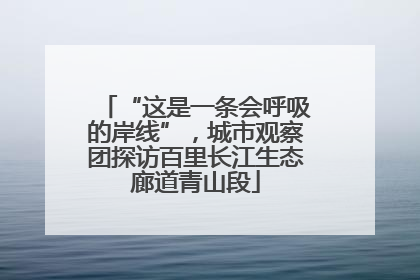 “这是一条会呼吸的岸线”，城市观察团探访百里长江生态廊道青山段