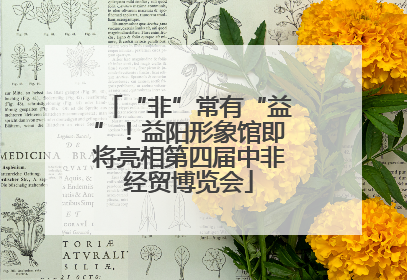 “非”常有“益”！益阳形象馆即将亮相第四届中非经贸博览会