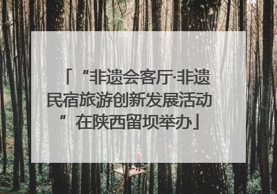 “非遗会客厅·非遗民宿旅游创新发展活动”在陕西留坝举办