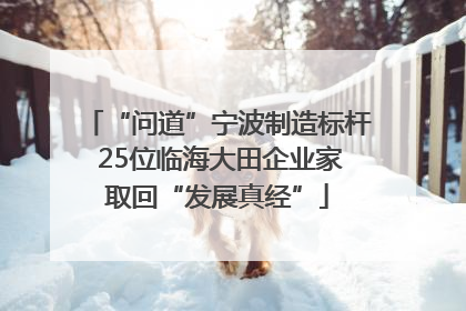 “问道”宁波制造标杆 25位临海大田企业家取回“发展真经”