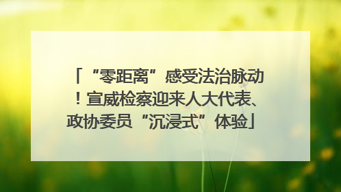 “零距离”感受法治脉动！宣威检察迎来人大代表、政协委员“沉浸式”体验
