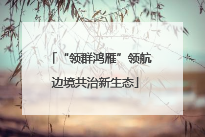 “领群鸿雁”领航边境共治新生态